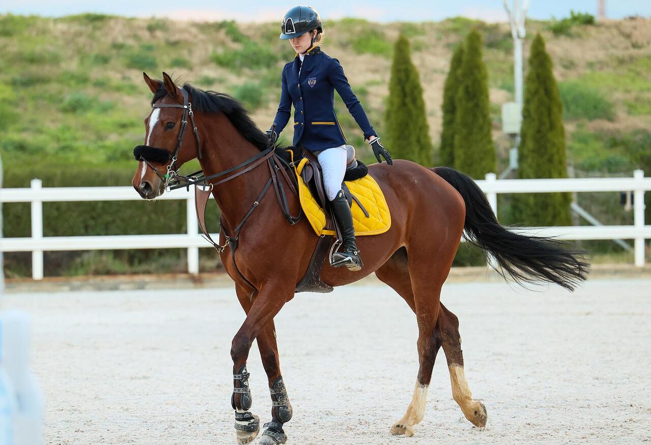 Weaver Leather || Finish Line || Cavalor Shop -Weaver Leather || Finish Line || Cavalor Shop 36 facts about equestrian 1730389173