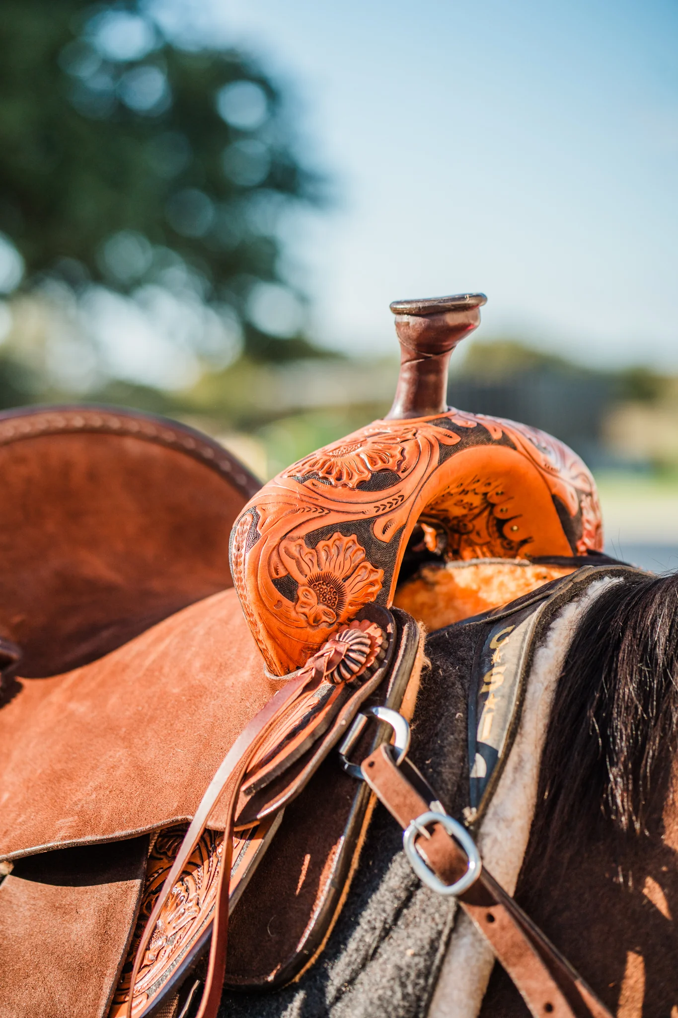 Weaver Leather || Finish Line || Cavalor Shop -Weaver Leather || Finish Line || Cavalor Shop DoubleJ 97